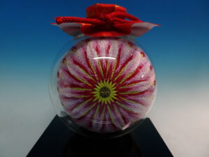 二つ菊