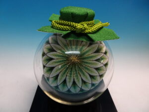 二つ菊